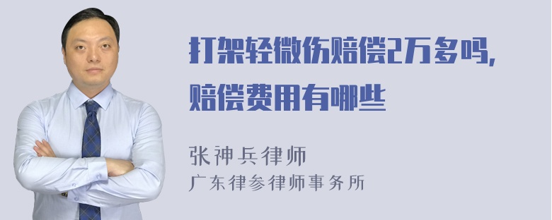 打架轻微伤赔偿2万多吗，赔偿费用有哪些