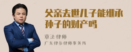 父亲去世儿子能继承孙子的财产吗