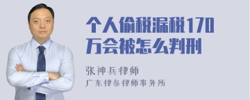 个人偷税漏税170万会被怎么判刑