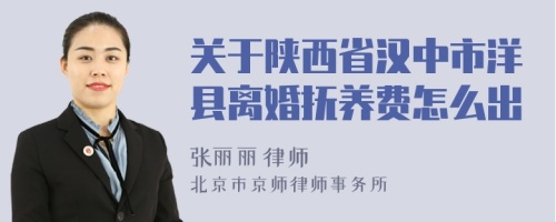 关于陕西省汉中市洋县离婚抚养费怎么出