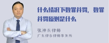 什么情况下数罪并罚，数罪并罚原则是什么