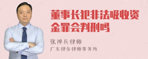 董事长犯非法吸收资金罪会判刑吗