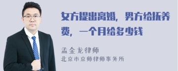 女方提出离婚，男方给抚养费，一个月给多少钱