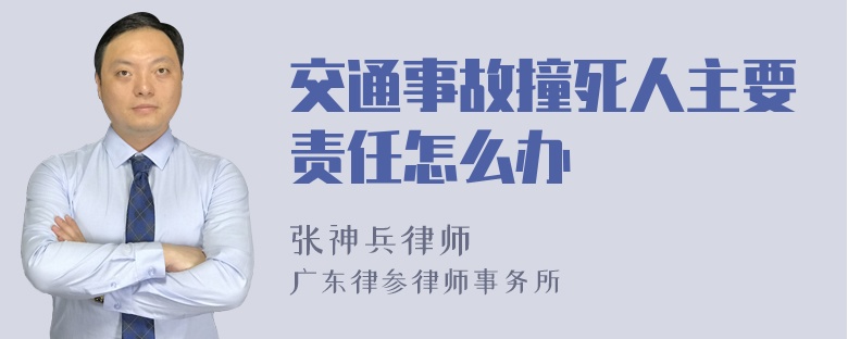 交通事故撞死人主要责任怎么办