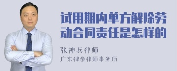 试用期内单方解除劳动合同责任是怎样的