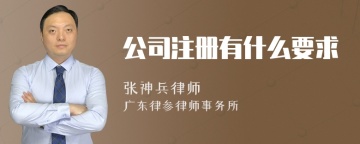 公司注册有什么要求