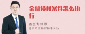 金融债权案件怎么执行