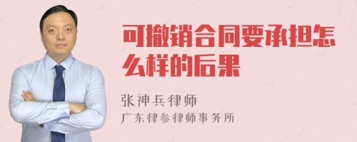 可撤销合同要承担怎么样的后果