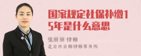 国家规定社保补缴15年是什么意思