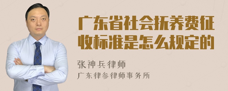 广东省社会抚养费征收标准是怎么规定的