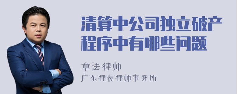 清算中公司独立破产程序中有哪些问题