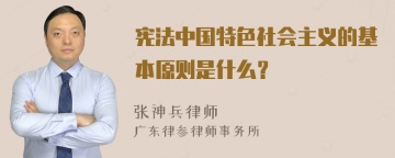 宪法中国特色社会主义的基本原则是什么？