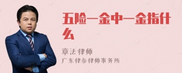 五险一金中一金指什么