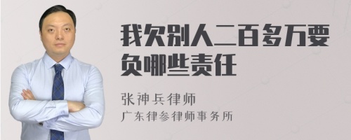 我欠别人二百多万要负哪些责任