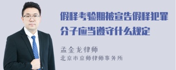 假释考验期被宣告假释犯罪分子应当遵守什么规定