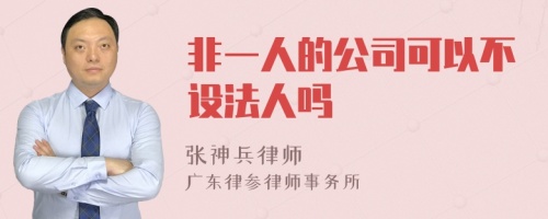 非一人的公司可以不设法人吗