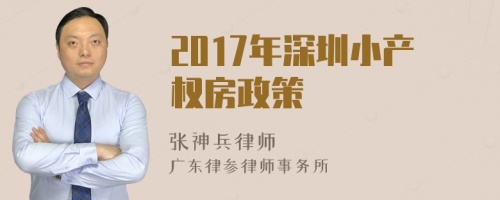 2017年深圳小产权房政策