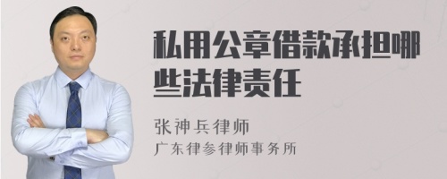 私用公章借款承担哪些法律责任