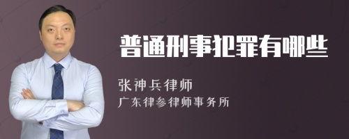 普通刑事犯罪有哪些