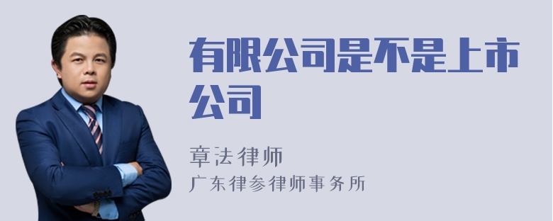 有限公司是不是上市公司