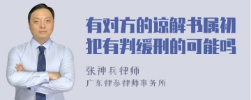 有对方的谅解书属初犯有判缓刑的可能吗