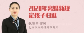 2020年离婚新规定孩子归谁