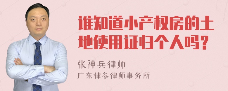 谁知道小产权房的土地使用证归个人吗？