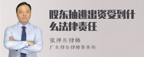 股东抽逃出资受到什么法律责任