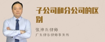 子公司和分公司的区别