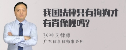 我国法律只有狗狗才有肖像权吗?