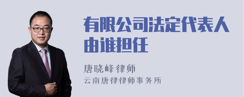 有限公司法定代表人由谁担任