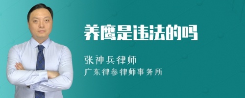 养鹰是违法的吗