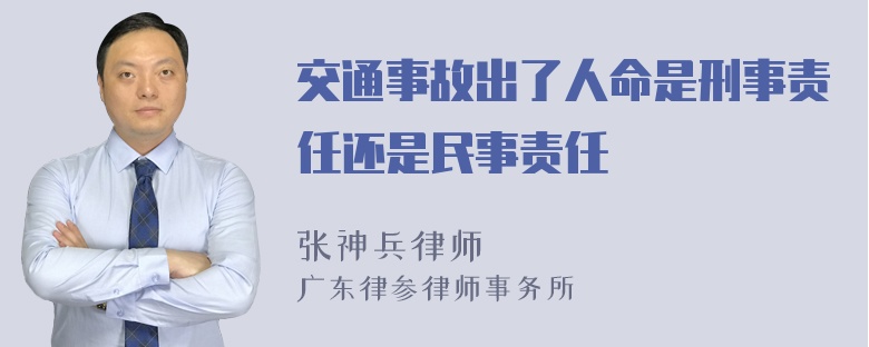 交通事故出了人命是刑事责任还是民事责任