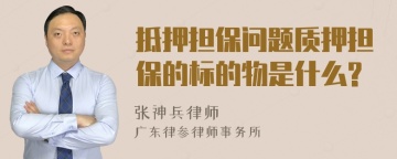 抵押担保问题质押担保的标的物是什么?