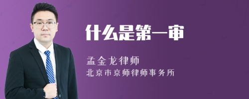 什么是第一审