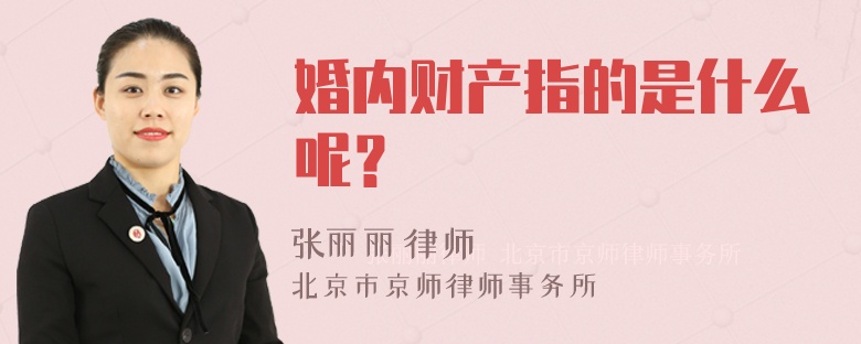 婚内财产指的是什么呢？