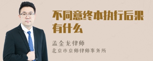 不同意终本执行后果有什么