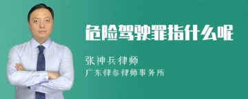 危险驾驶罪指什么呢