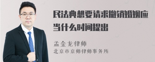 民法典想要请求撤销婚姻应当什么时间提出