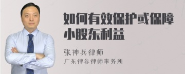 如何有效保护或保障小股东利益