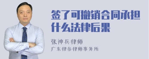 签了可撤销合同承担什么法律后果