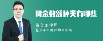 罚金数额种类有哪些