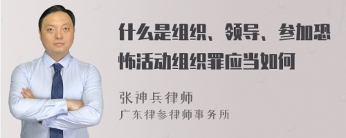 什么是组织、领导、参加恐怖活动组织罪应当如何