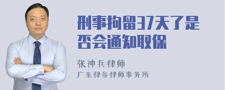 刑事拘留37天了是否会通知取保