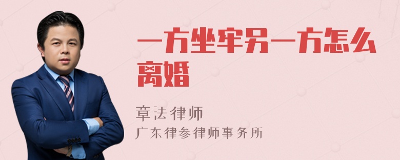 一方坐牢另一方怎么离婚