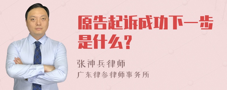 原告起诉成功下一步是什么？