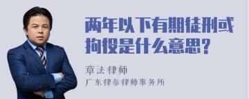 两年以下有期徒刑或拘役是什么意思?