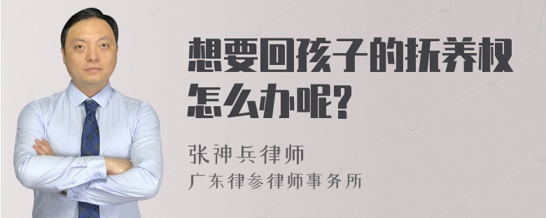 想要回孩子的抚养权怎么办呢?