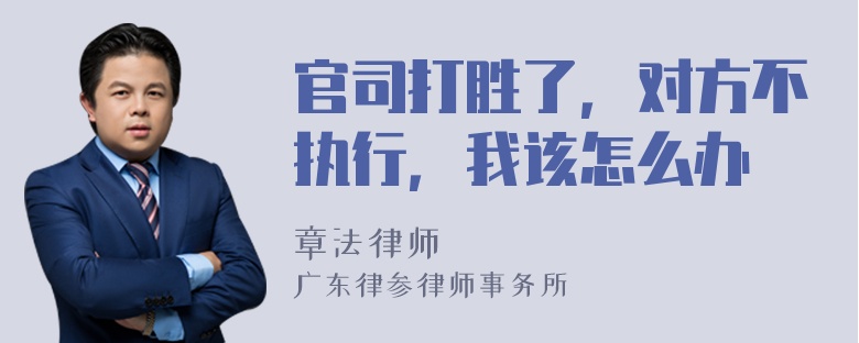 官司打胜了，对方不执行，我该怎么办