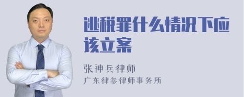 逃税罪什么情况下应该立案